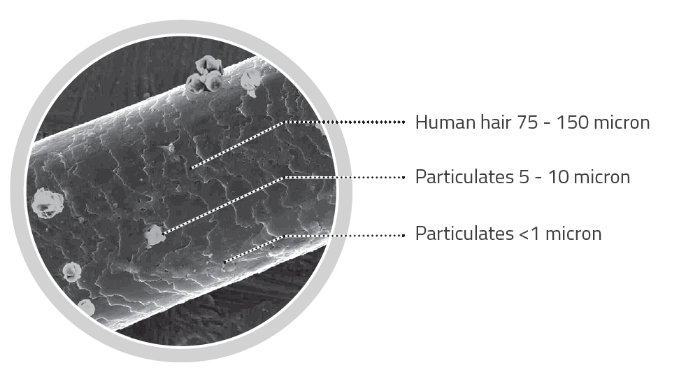 human_hair