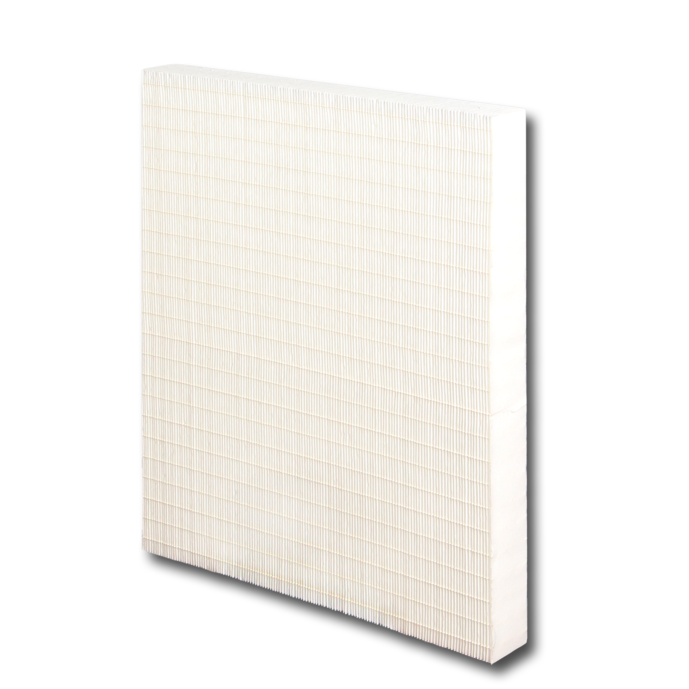 MINI PLEATED MEDIA (1)